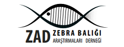 ZEBRA BALIĞI ARAŞTIRMALARI DERNEĞİ