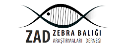 ZEBRA BALIĞI ARAŞTIRMALARI DERNEĞİ